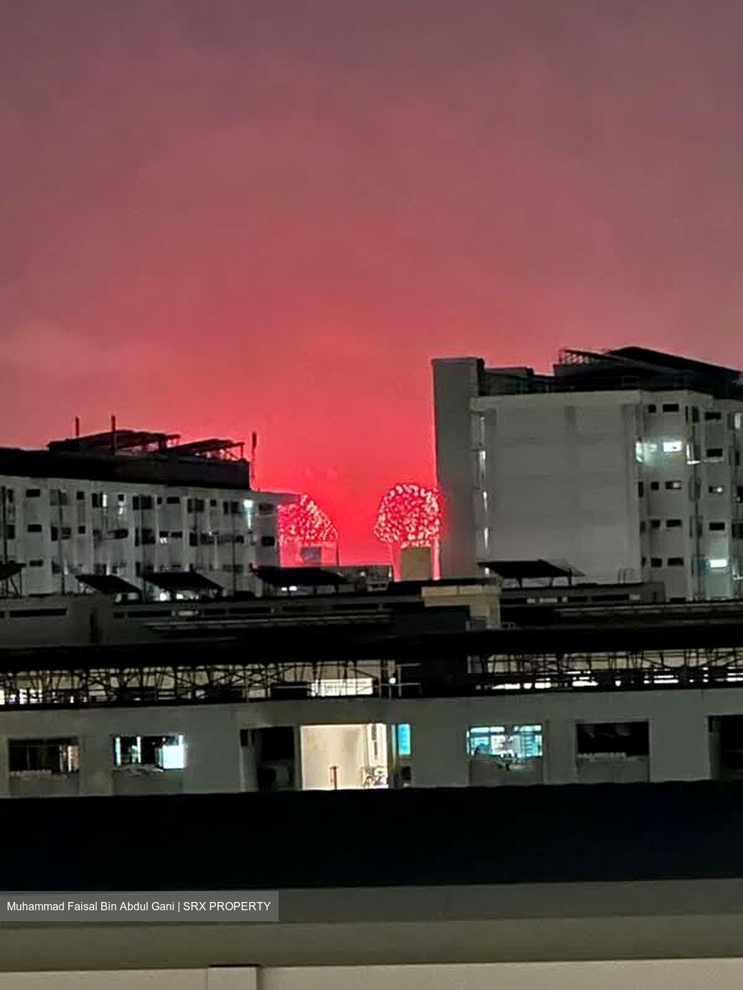 Blk 430A Bedok North Woods (Bedok), HDB 3 Rooms #595814171